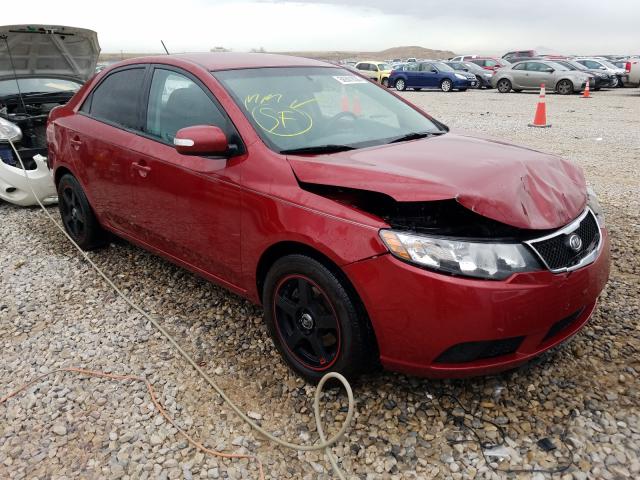 KIA FORTE EX 2010 knafu4a23a5060748