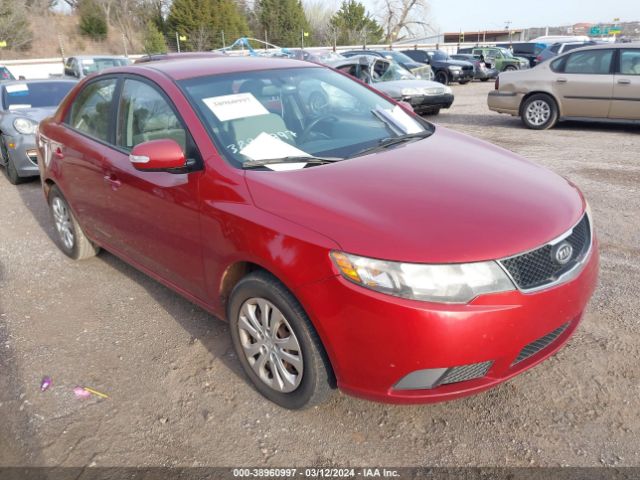 KIA FORTE 2010 knafu4a23a5062709