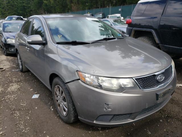 KIA FORTE EX 2010 knafu4a23a5065318