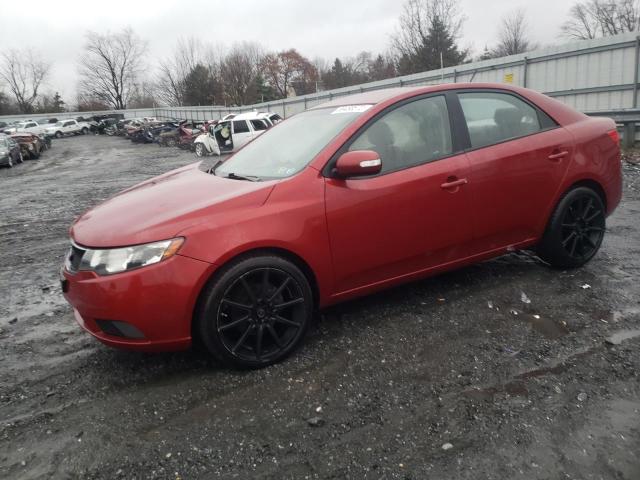 KIA FORTE EX 2010 knafu4a23a5098111