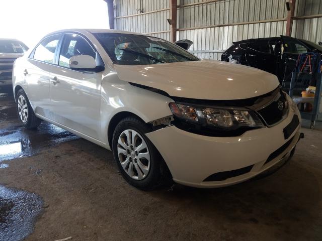 KIA FORTE EX 2010 knafu4a23a5101427