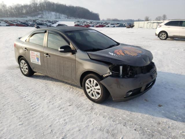 KIA FORTE EX 2010 knafu4a23a5104487