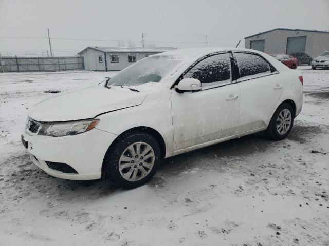 KIA FORTE EX 2010 knafu4a23a5105865