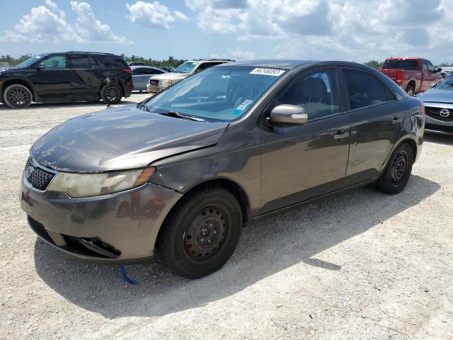 KIA FORTE EX 2010 knafu4a23a5118308