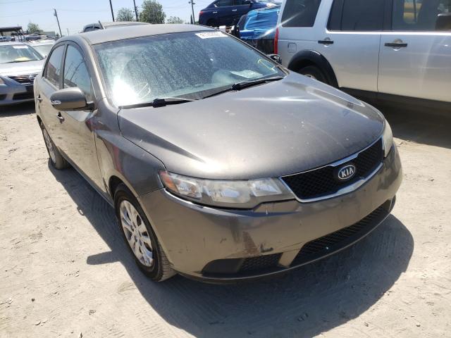 KIA FORTE EX 2010 knafu4a23a5135772