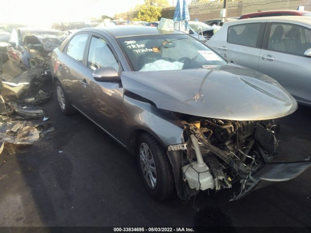 KIA FORTE 2010 knafu4a23a5144424