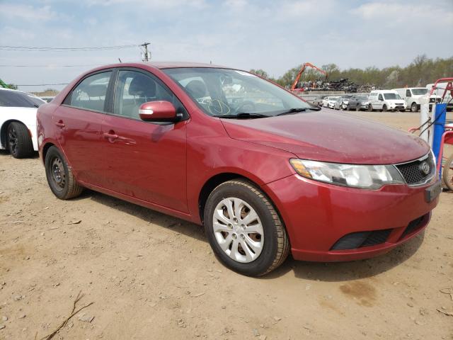 KIA FORTE EX 2010 knafu4a23a5145041