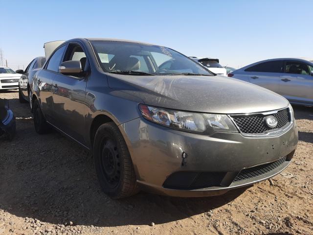 KIA FORTE EX 2010 knafu4a23a5162700