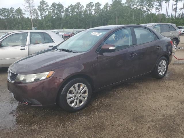 KIA FORTE 2010 knafu4a23a5175947