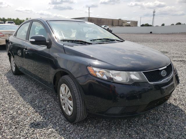 KIA FORTE EX 2010 knafu4a23a5182493