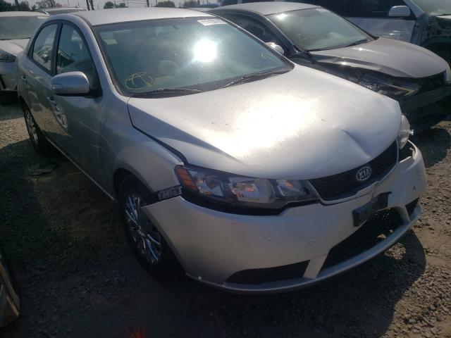 KIA FORTE EX 2010 knafu4a23a5202306