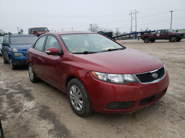 KIA FORTE 2010 knafu4a23a5206095