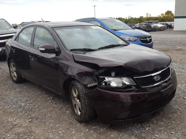 KIA FORTE EX 2010 knafu4a23a5221731