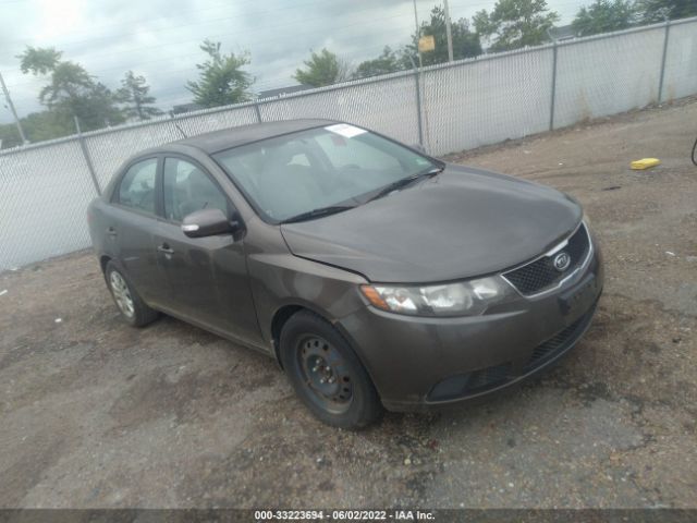 KIA FORTE 2010 knafu4a23a5225746