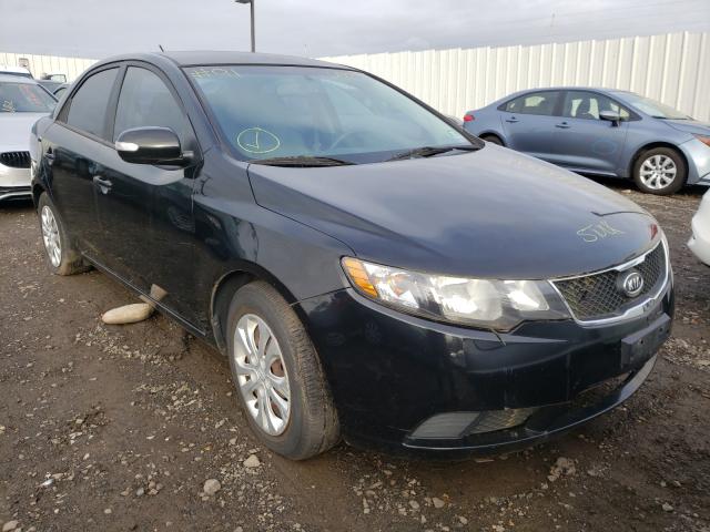 KIA FORTE EX 2010 knafu4a23a5241817