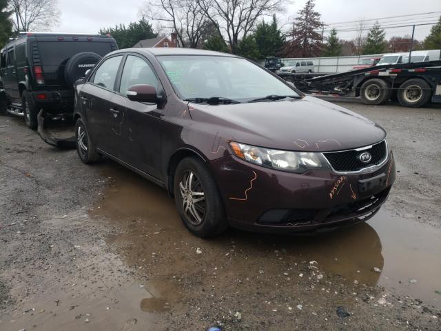 KIA FORTE EX 2010 knafu4a23a5246774