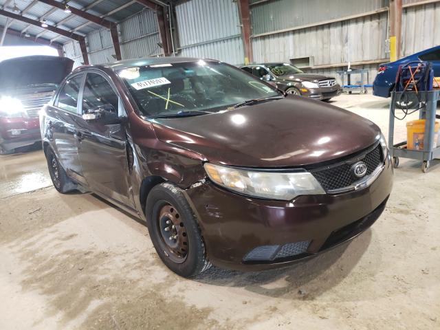 KIA FORTE EX 2010 knafu4a23a5288653