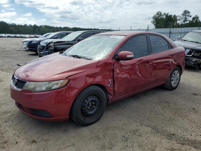 KIA FORTE EX 2010 knafu4a23a5291083