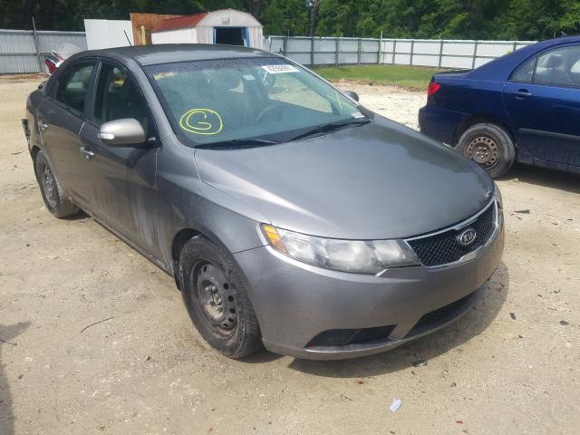 KIA FORTE EX 2010 knafu4a23a5304981