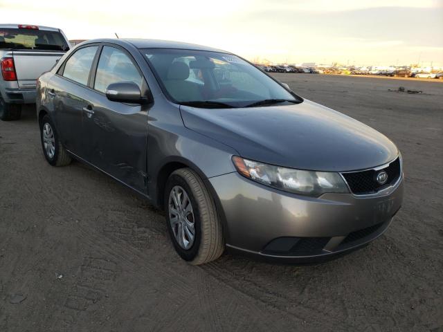 KIA FORTE EX 2010 knafu4a23a5807037