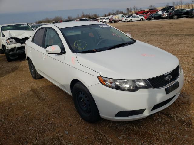 KIA FORTE EX 2010 knafu4a23a5811234