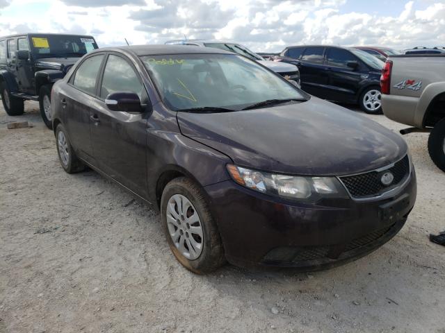 KIA FORTE EX 2010 knafu4a23a5812383