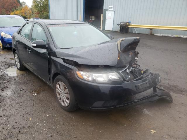 KIA FORTE EX 2010 knafu4a23a5815784