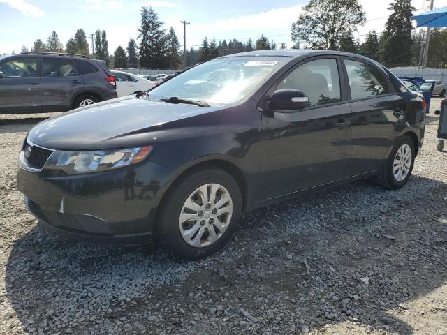 KIA FORTE EX 2010 knafu4a23a5832696