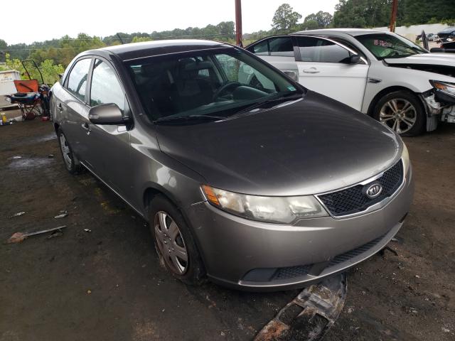 KIA FORTE EX 2010 knafu4a23a5833119