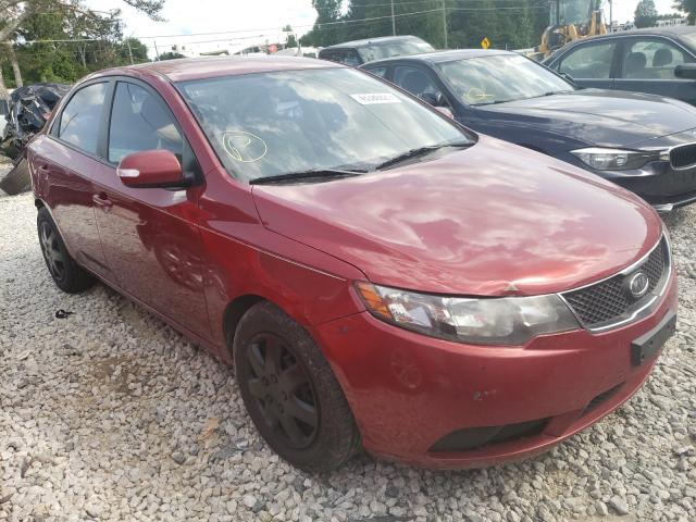 KIA FORTE EX 2010 knafu4a23a5835842