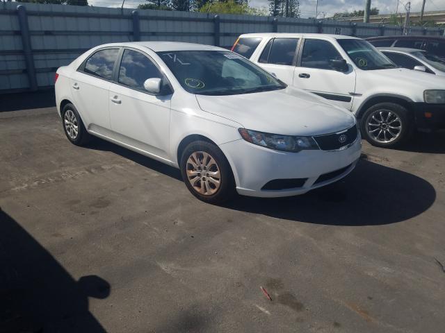 KIA FORTE EX 2010 knafu4a23a5850163