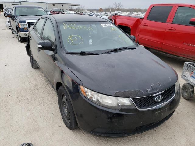 KIA FORTE EX 2010 knafu4a23a5856254