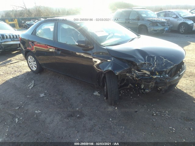 KIA FORTE 2010 knafu4a23a5860109