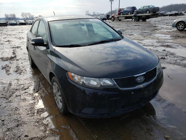 KIA FORTE EX 2010 knafu4a23a5860742