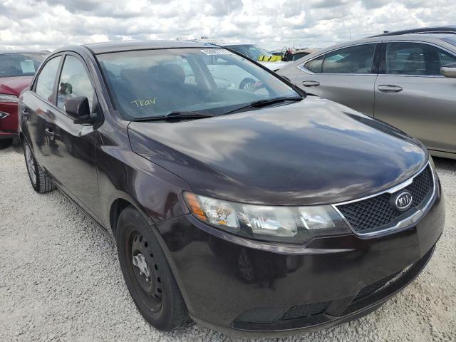 KIA FORTE EX 2010 knafu4a23a5869859