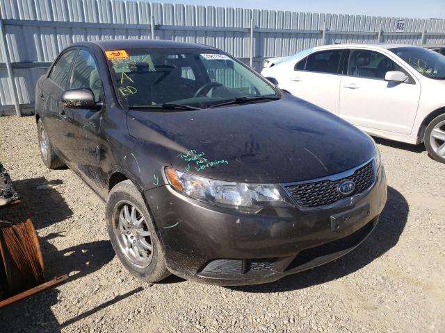 KIA FORTE EX 2011 knafu4a23b5347511