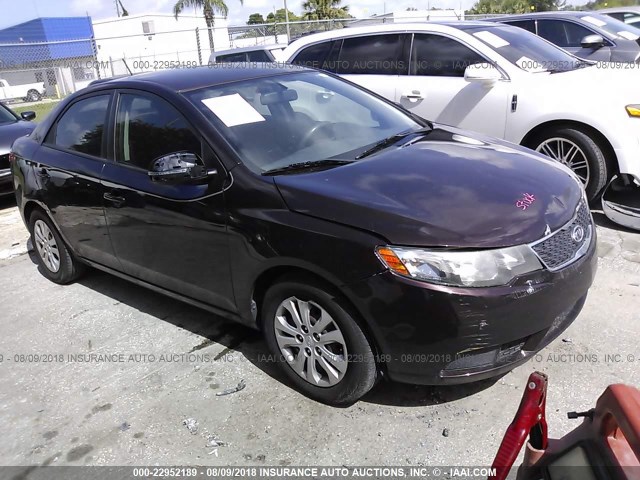 KIA FORTE 2011 knafu4a23b5360470