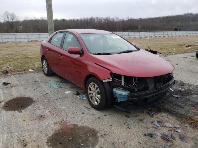 KIA FORTE EX 2011 knafu4a23b5363837