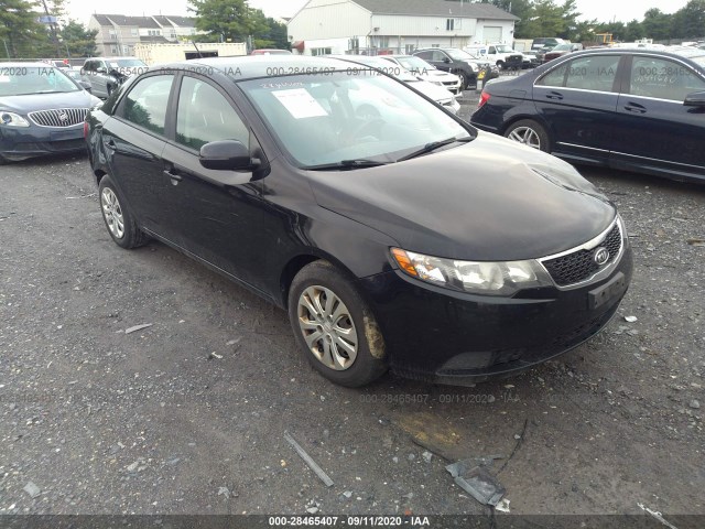 KIA FORTE 2011 knafu4a23b5368617