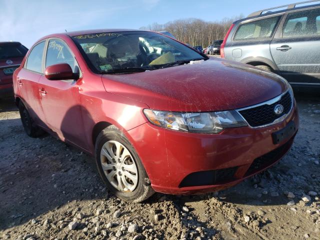 KIA FORTE EX 2011 knafu4a23b5387992