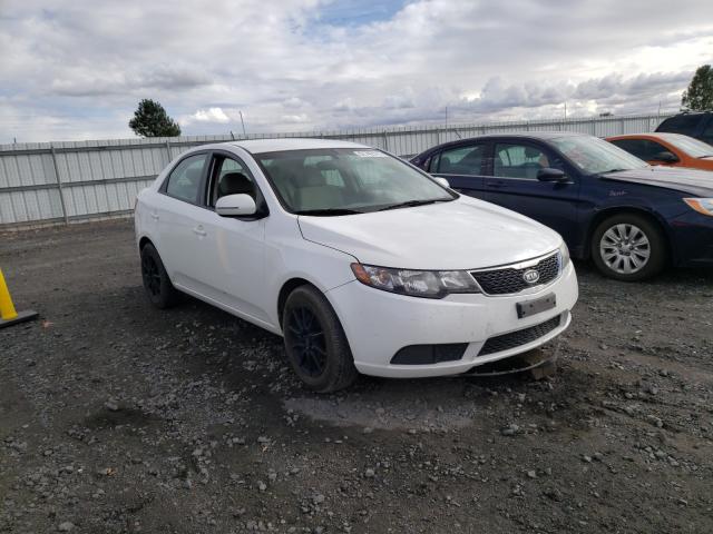 KIA FORTE EX 2011 knafu4a23b5414690