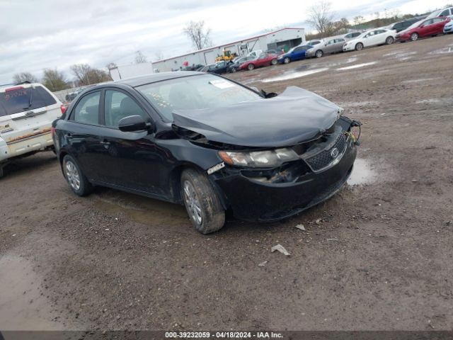 KIA FORTE 2011 knafu4a23b5425589