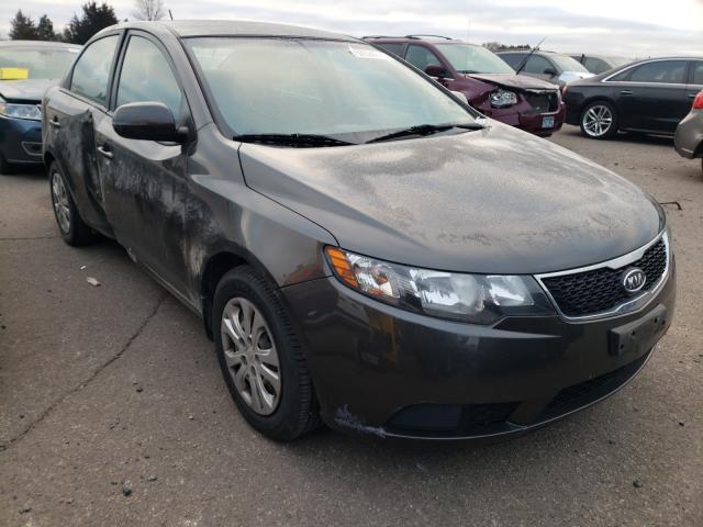 KIA FORTE EX 2011 knafu4a23b5436494