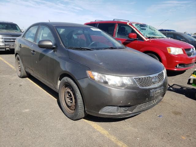 KIA FORTE EX 2011 knafu4a23b5448189