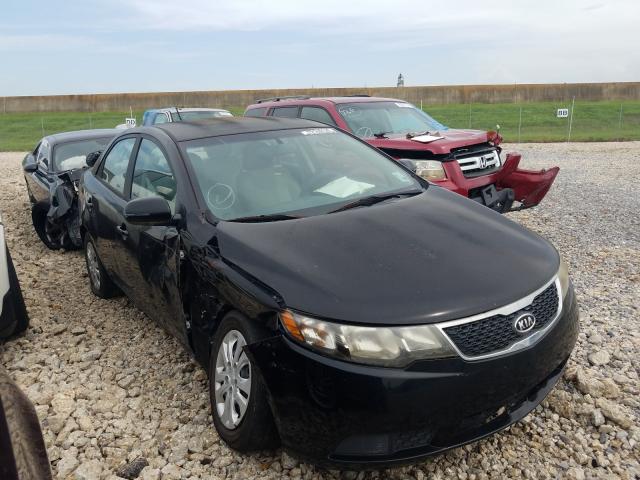 KIA FORTE EX 2011 knafu4a23b5454199