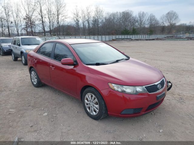 KIA FORTE 2011 knafu4a23b5461962