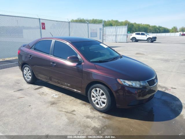 KIA FORTE 2011 knafu4a23b5464571