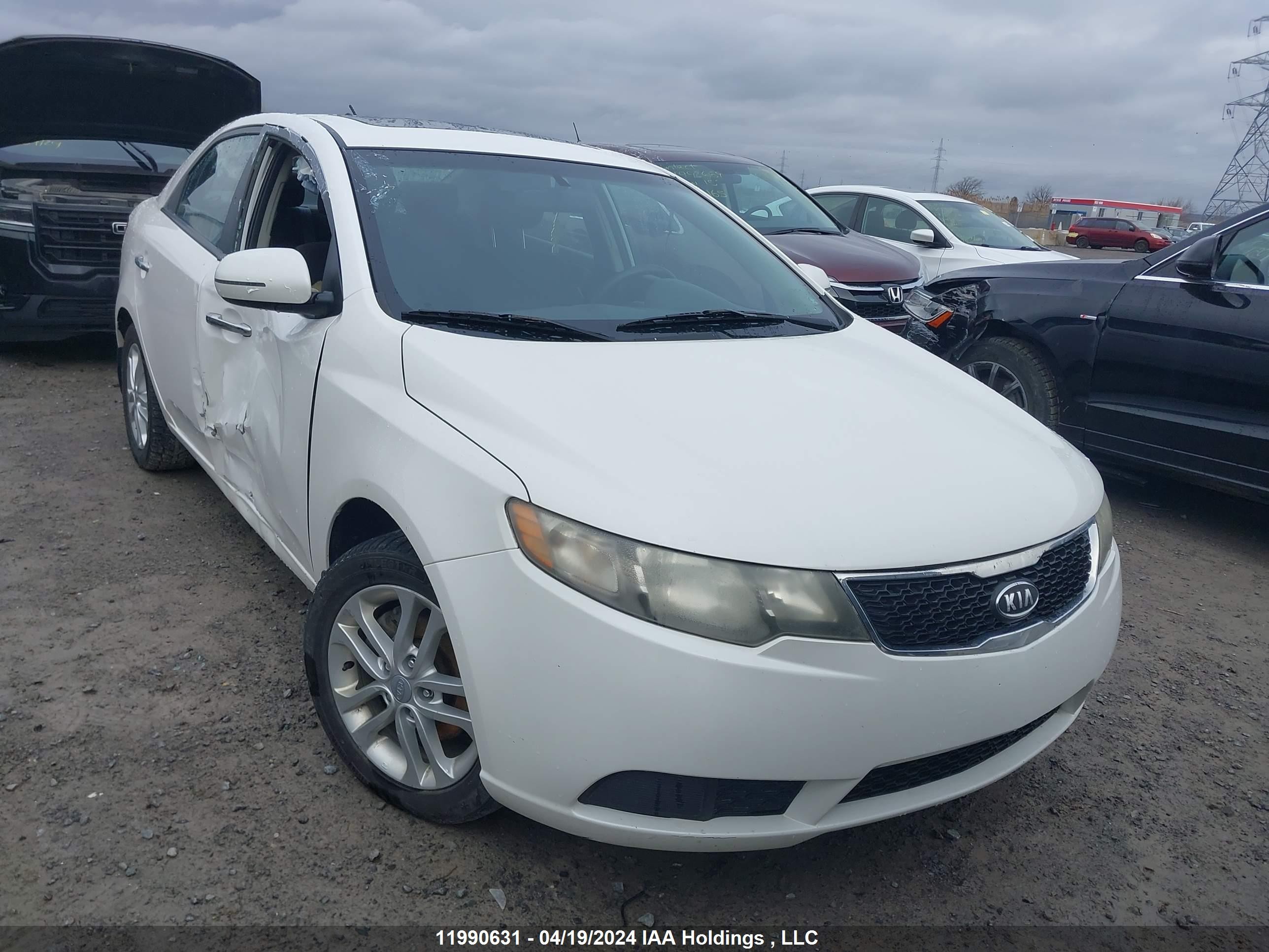 KIA FORTE 2011 knafu4a23b5465431