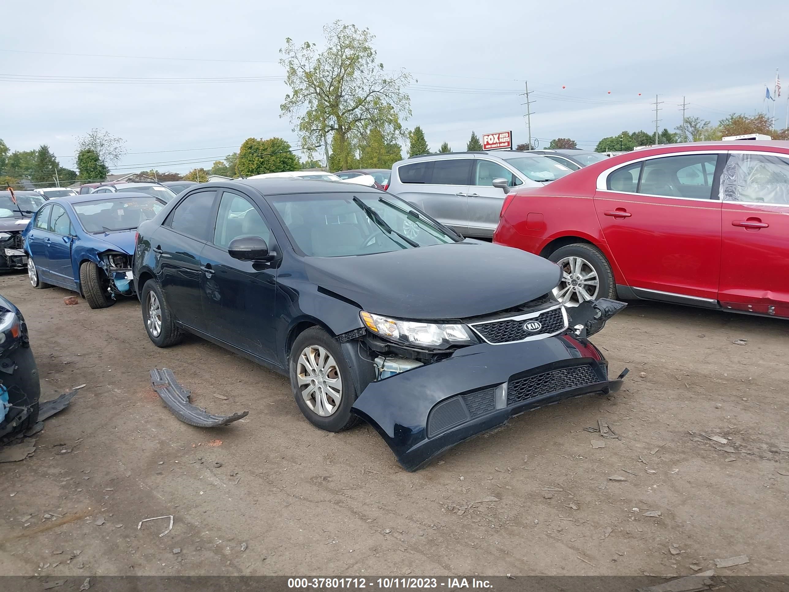 KIA FORTE 2012 knafu4a23c5479119