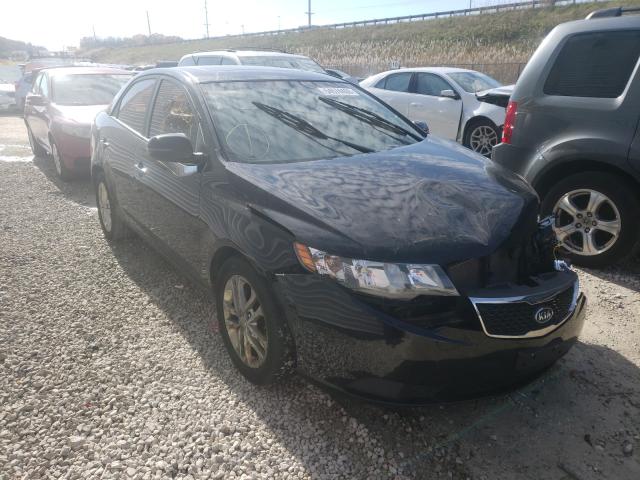 KIA FORTE EX 2012 knafu4a23c5481534